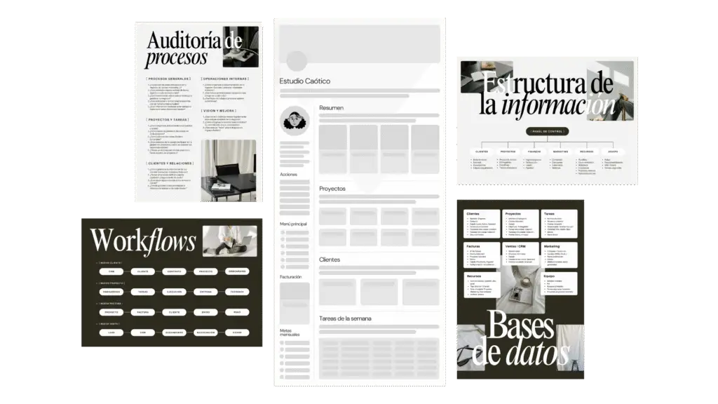 Estudio Caótico | Programa The Notion Founder