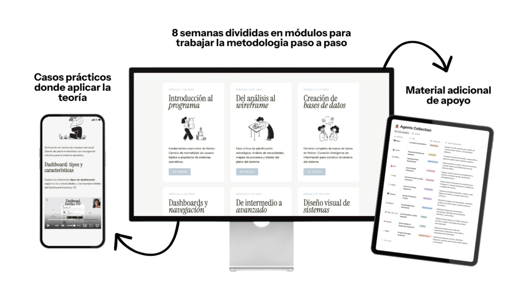 Notion Founder | Estudio Caótico